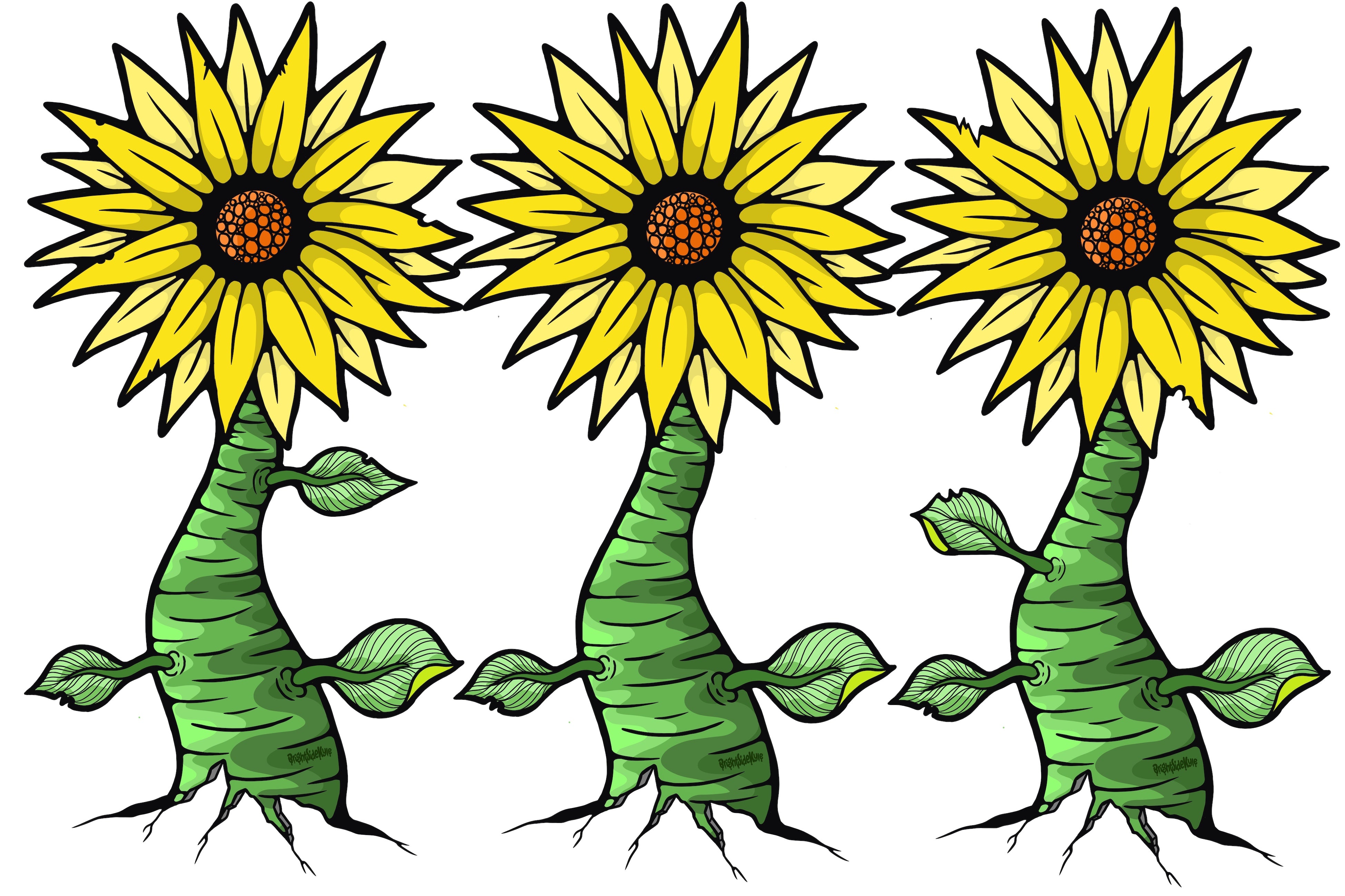 Wall Art Decal - Sunflowers