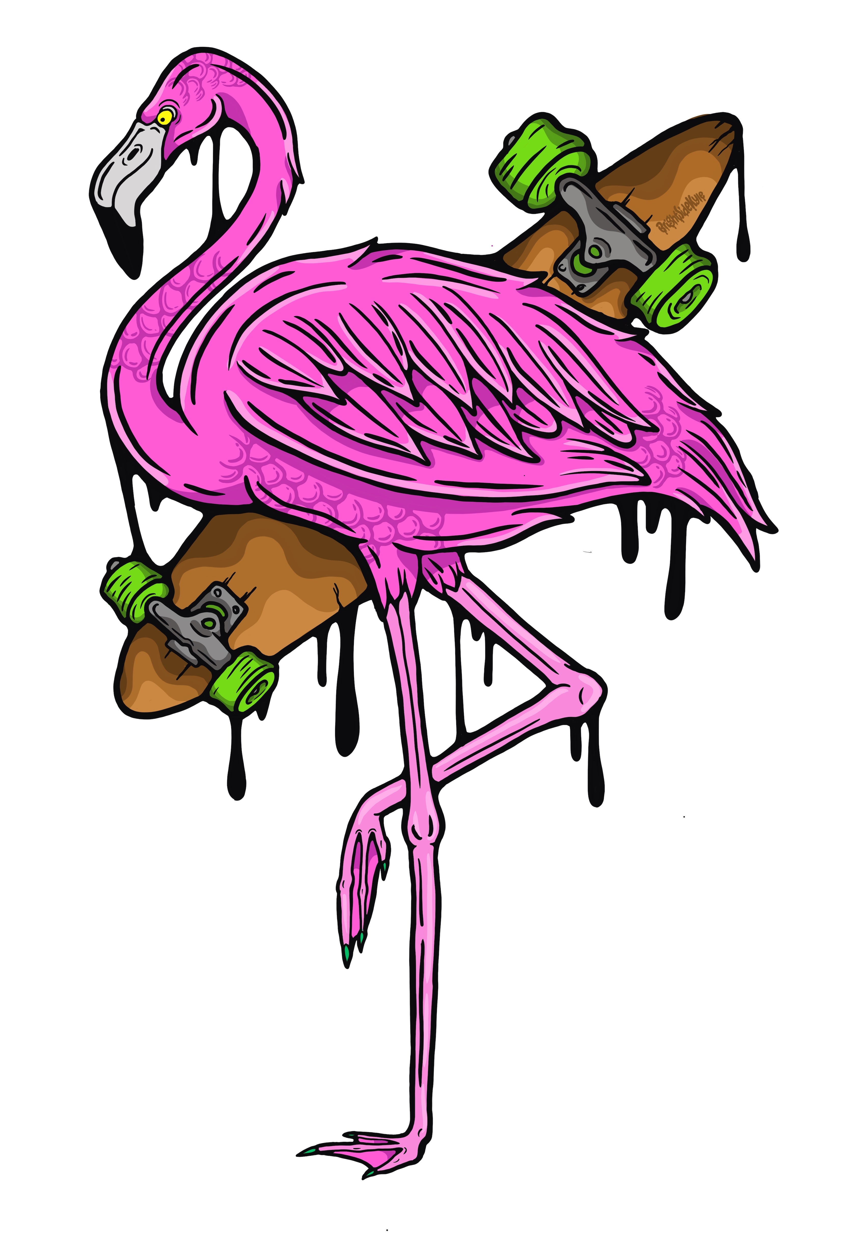 Wall Art Decal - Flamingo Skater