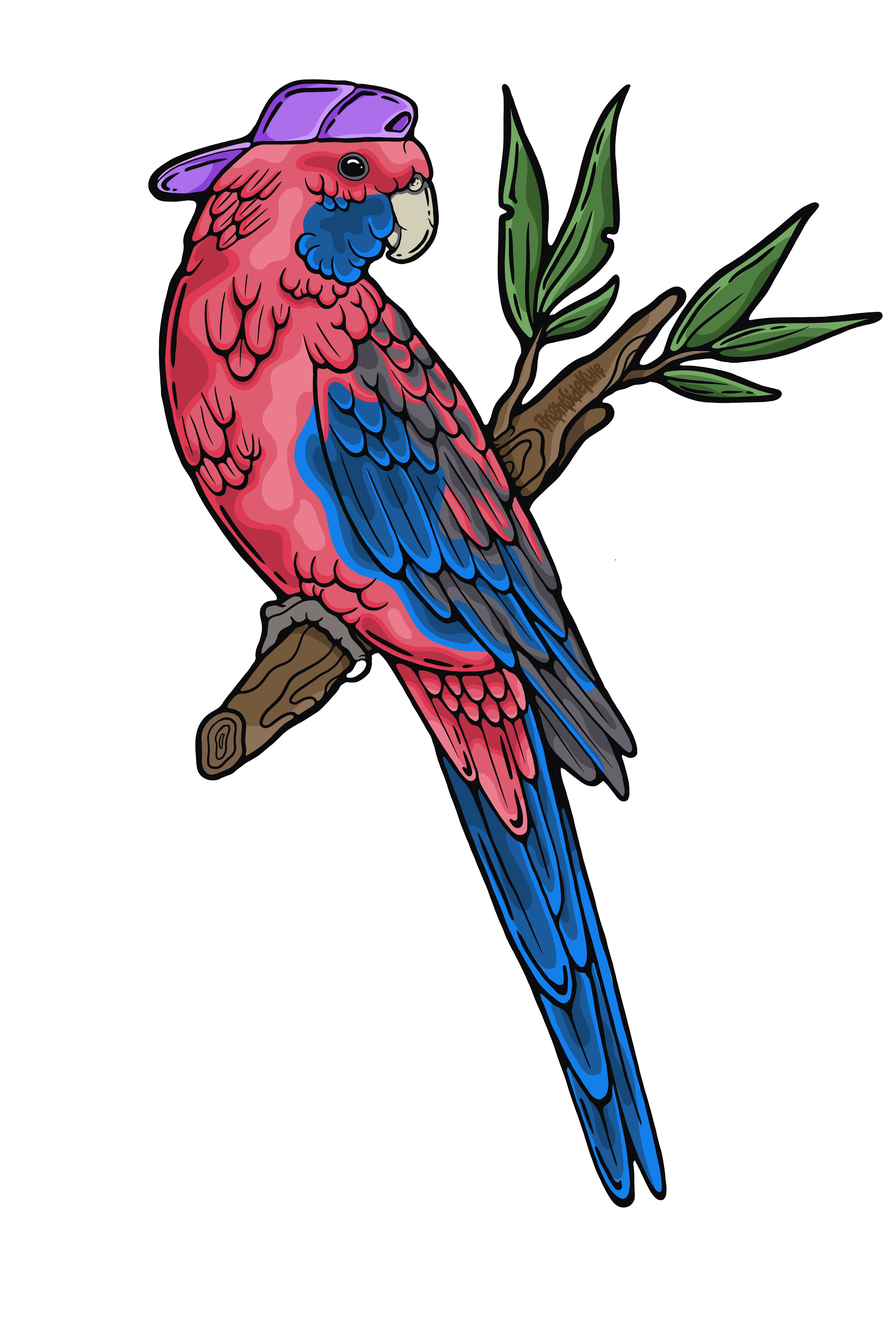 Wall Art Decal - Rad Rosella